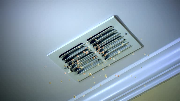 Best Emergency Air Duct Cleaning  in Starkville, MS