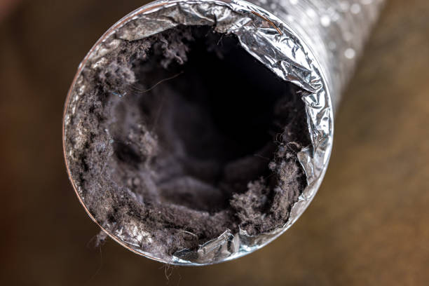 Best General Air Duct Cleaning  in Starkville, MS