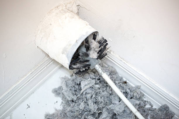 Best Ventilation Cleaning Services  in Starkville, MS